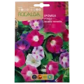IPOMEA CAMPANILLA VARIADA
