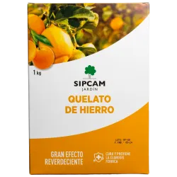Imagen 1
